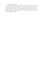 Kainos nustatymo procesas 16 puslapis