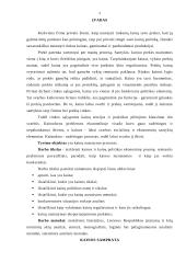 Kainos nustatymo procesas 3 puslapis