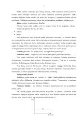 Kainos nustatymo procesas 4 puslapis