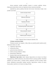 Kainos nustatymo procesas 7 puslapis