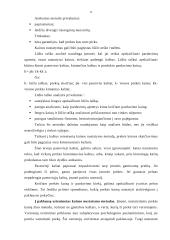 Kainos nustatymo procesas 10 puslapis