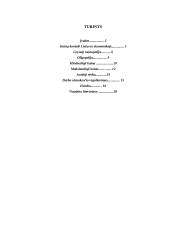 Kainų kontrolė Lietuvos ekonomikoje 2 puslapis