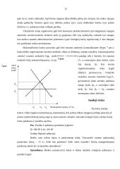 Kainų kontrolė Lietuvos ekonomikoje 13 puslapis