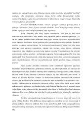 Kainų kontrolė Lietuvos ekonomikoje 16 puslapis