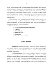 Kainų kontrolė Lietuvos ekonomikoje 6 puslapis