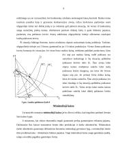 Kainų kontrolė Lietuvos ekonomikoje 10 puslapis