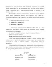 Kalba ir identitetas 4 puslapis