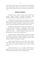 Kalbos etiketo vaidmuo ugdant profesines kompetencijas 13 puslapis