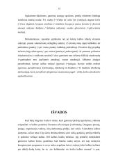 Kalbos etiketo vaidmuo ugdant profesines kompetencijas 14 puslapis