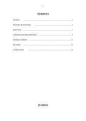 Kalbos etiketo vaidmuo ugdant profesines kompetencijas 3 puslapis