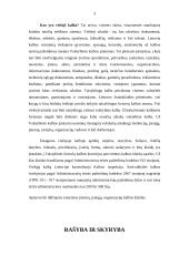 Kalbos etiketo vaidmuo ugdant profesines kompetencijas 4 puslapis