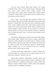 Kalbos etiketo vaidmuo ugdant profesines kompetencijas 10 puslapis