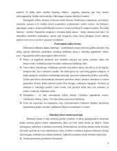 Kalbos kultūros darbas 6 puslapis