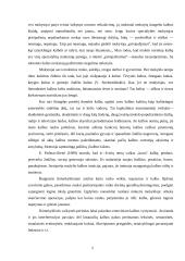 Kalbos kultūros plačiau 4 puslapis