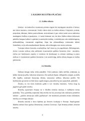 Kalbos kultūros plačiau 5 puslapis