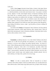 Kalbos kultūros plačiau 8 puslapis