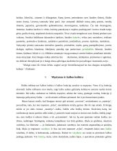 Kalbos kultūra, funkcija bei formavimosi aplinkybės 13 puslapis