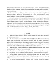 Kalbos kultūra, funkcija bei formavimosi aplinkybės 14 puslapis