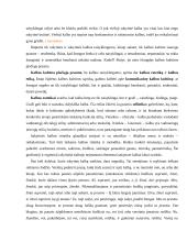 Kalbos kultūra, funkcija bei formavimosi aplinkybės 5 puslapis