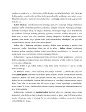 Kalbos kultūra, funkcija bei formavimosi aplinkybės 6 puslapis