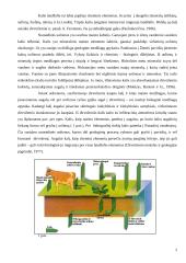 Kalis. Jo apytaka ir reikšmė 2 puslapis