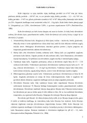 Kalis. Jo apytaka ir reikšmė 3 puslapis