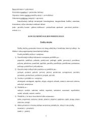 Kanceliarinė kalba 5 puslapis