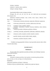 Kanceliarinė kalba 6 puslapis