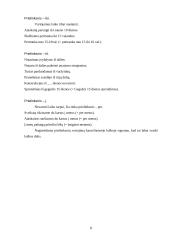 Kanceliarinė kalba 8 puslapis