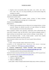 Kanceliarinė kalba 10 puslapis