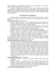 Kapitalo investicijos 3 puslapis