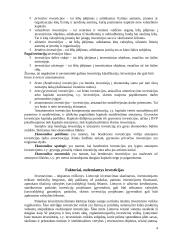 Kapitalo investicijos 4 puslapis