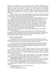 Kapitalo investicijos 5 puslapis
