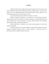 Karjera ir karjeros planavimas  2 puslapis