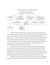 Karjera ir karjeros planavimas  9 puslapis