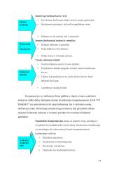 Karjeros planavimo sistema: UAB "VP Market" 14 puslapis