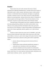 Karjeros planavimo sistema: UAB "VP Market" 16 puslapis