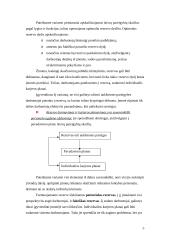 Karjeros planavimo sistema: UAB "VP Market" 5 puslapis