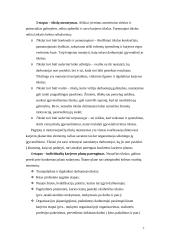 Karjeros planavimo sistema: UAB "VP Market" 7 puslapis