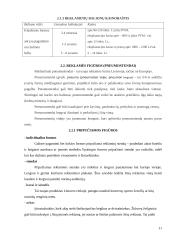 Kas yra oro reklama? UAB "Oreivystės centras" 11 puslapis