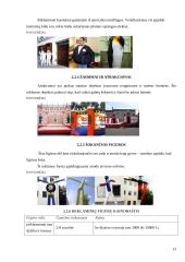 Kas yra oro reklama? UAB "Oreivystės centras" 13 puslapis