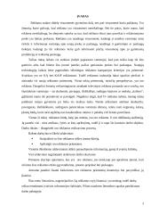 Kas yra oro reklama? UAB "Oreivystės centras" 3 puslapis