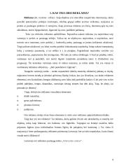 Kas yra oro reklama? UAB "Oreivystės centras" 4 puslapis