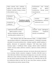 Kauno apskrities viršininko administracija žinių visuomenės požiūriu: koncepcinis projektas 12 puslapis