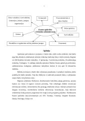 Kauno apskrities viršininko administracija žinių visuomenės požiūriu: koncepcinis projektas 4 puslapis