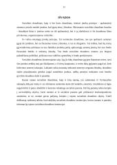 Kauno rajono socialinio draudimo biudžeto sudarymas ir vykdymas 11 puslapis