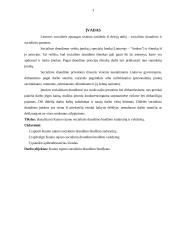 Kauno rajono socialinio draudimo biudžeto sudarymas ir vykdymas 3 puslapis