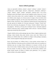 Kauno viešbučiai 3 puslapis