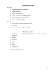 Kaušiniai elevatoriai 12 puslapis