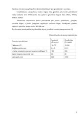 Kaušiniai elevatoriai 7 puslapis